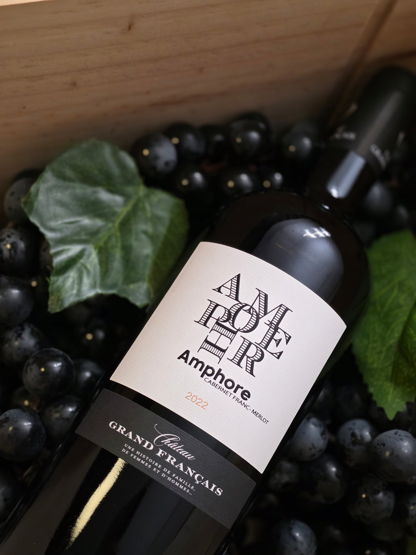 (Most Popular) Amphore 2022 - Bordeaux, France
