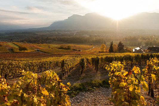 Les Moraines 2024 - Savoie