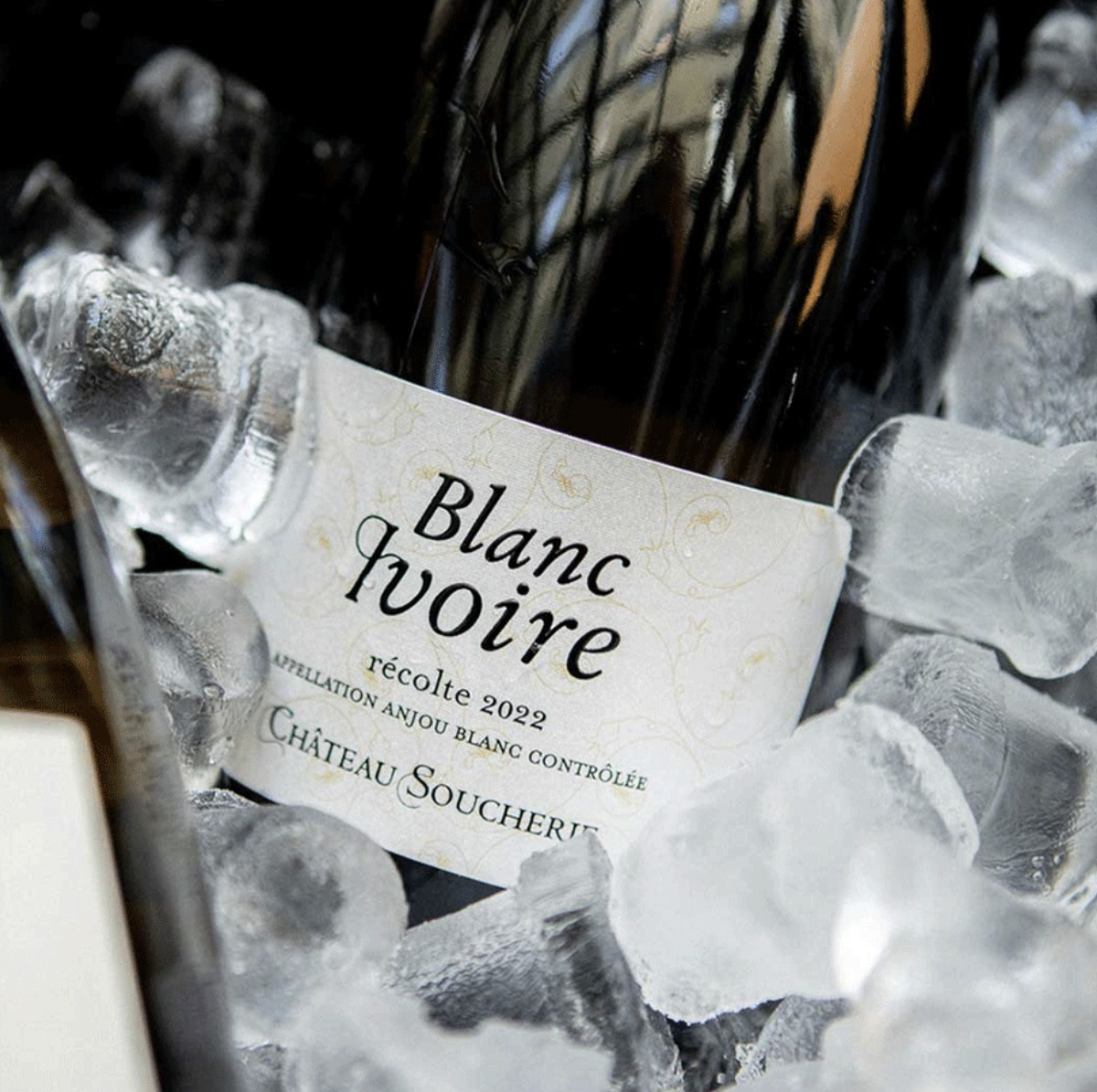 (White) Blanc Ivoire 2022 - Loire Valley, France