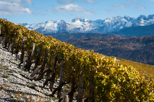 Les Argiles 2024 - Savoie