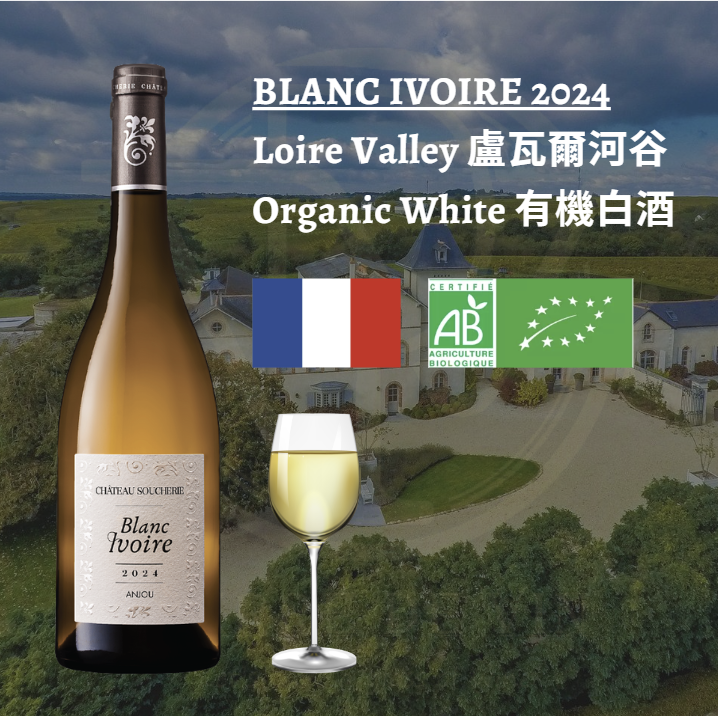 Blanc Ivoire 2024 - Loire Valley