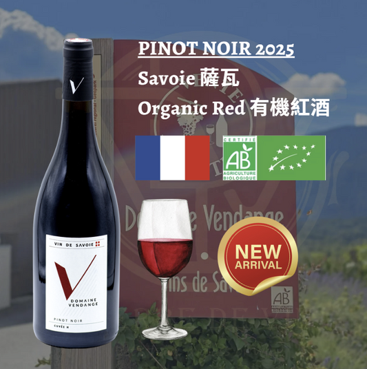 Pinot Noir 2025 - 法國 薩瓦
